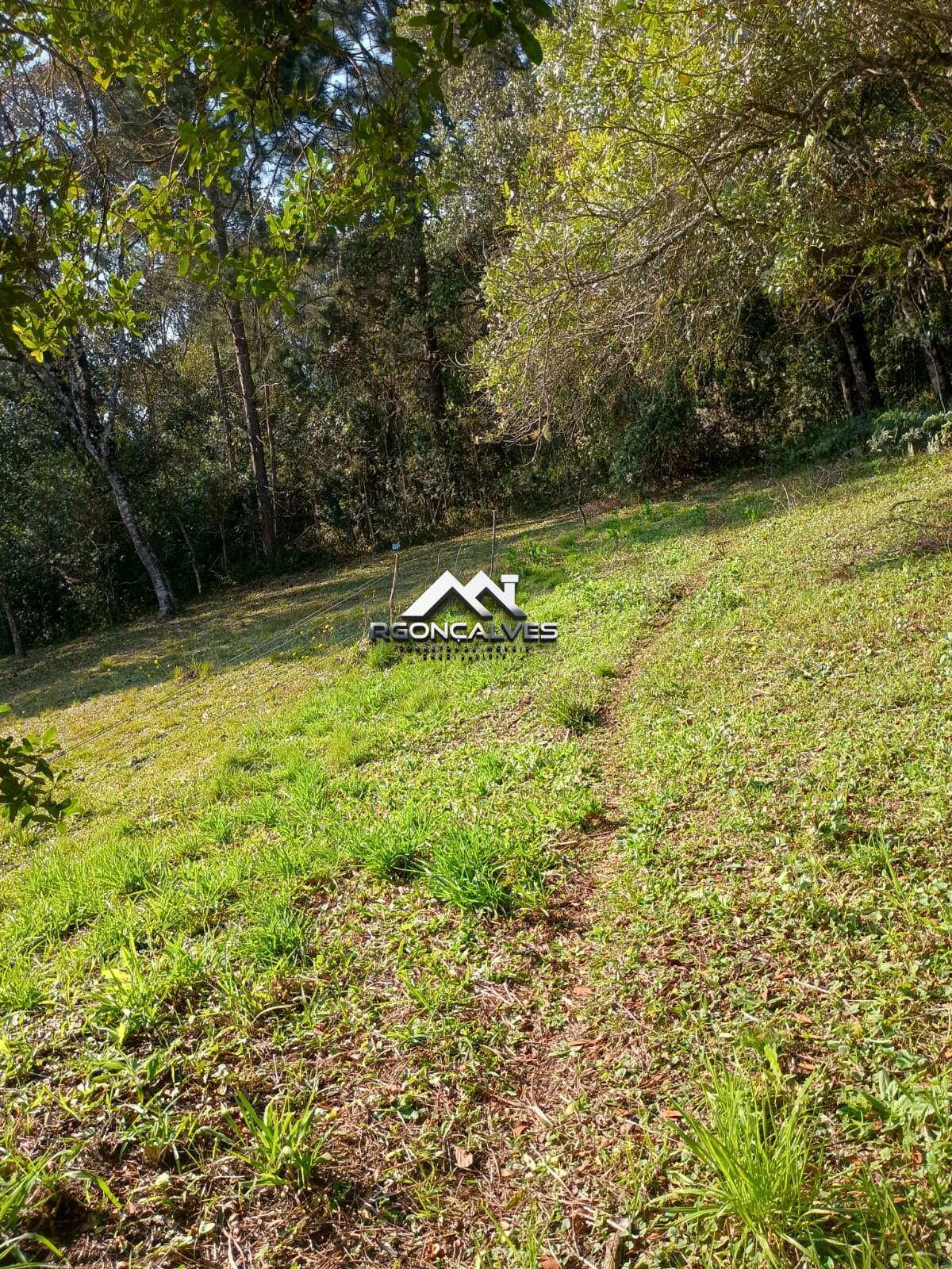 Chácara à venda em Piraquara, Vila Fuck, com 1 quarto, 3000m²